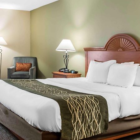 Comfort Inn Pine Grove I-81 Hershey Area Bagian luar foto