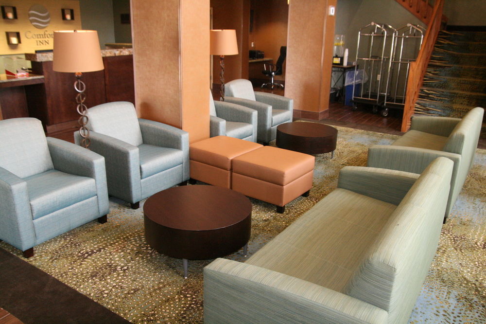 Comfort Inn Pine Grove I-81 Hershey Area Bagian luar foto